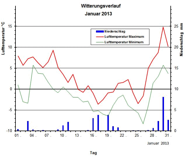 Witterungsverlauf Januar 2013