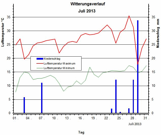 Witterungsverlauf Juli 2013