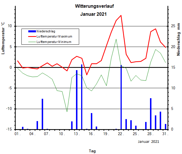 Witterungsverlauf Januar 2021